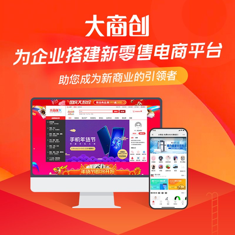 企业管理系统定制：专业度与性价比的权衡